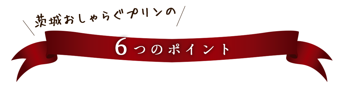 5つのポイント