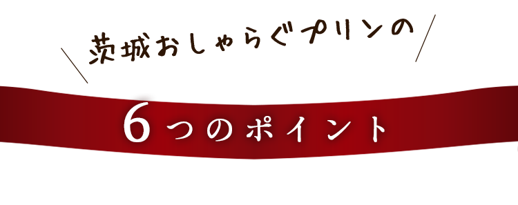 5つのポイント